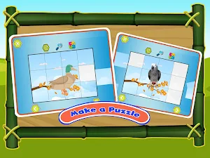 Bird Sounds Fun Learning Games - Coloring & Puzzle Screenshot 2