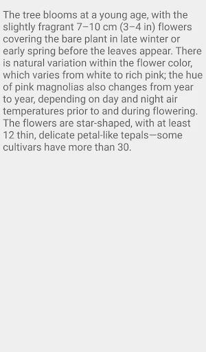 Star Magnolia Flower Screenshot 3