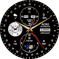 ACRO 31 luxury GL1872 Watch