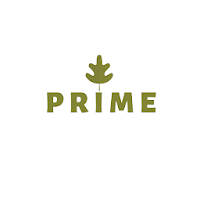 Prime