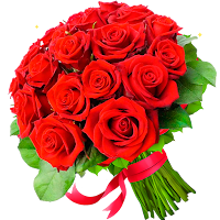 Flowers Stickers for WhatsApp