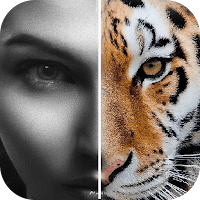 FaceMorph - Face Zoom App