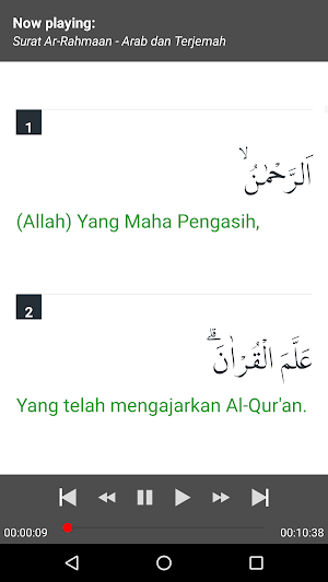 Surat Ar-Rahman MP3 Offline + Terjemah Screenshot 3