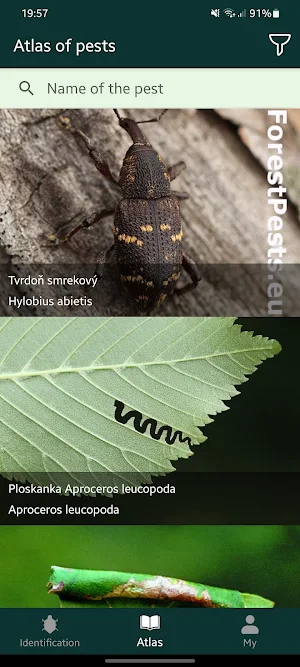 Forest pests Screenshot 2
