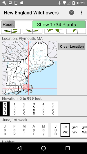 New England Wildflowers Screenshot 1