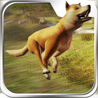wild dog Survive