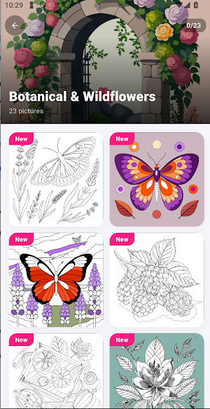 Paint By Number: Cozy Coloring Screenshot 2