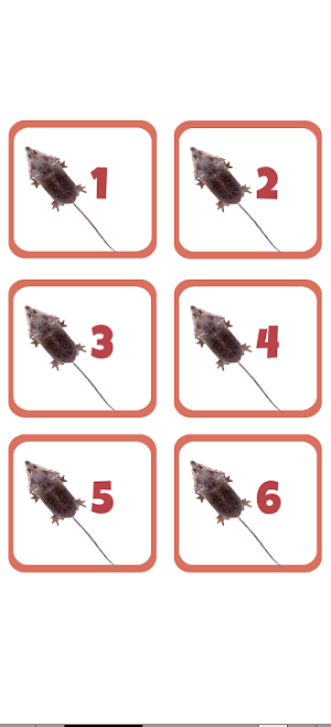Games for cat - catch the rat Screenshot 2