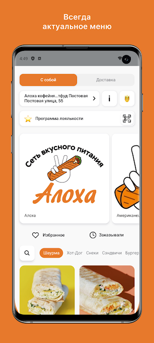 Aloxa.krd Screenshot 0