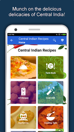 Central Indian Food Recipes Screenshot 1