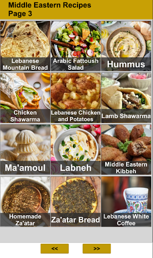 100 Middle Eastern Recipes Screenshot 1