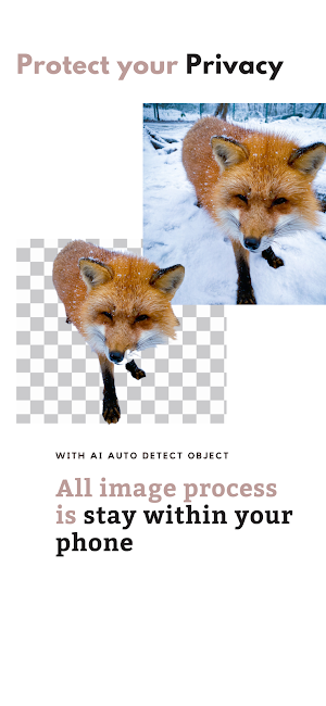 AI Background Remover Screenshot 1