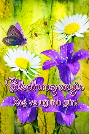 Sabahınız xeyir Screenshot 1