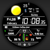 FSW283 Digital Watch face