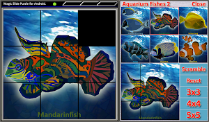 Magic Slide Puzzle A Fishes 2 Screenshot 2