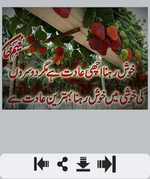 Khushi Shayari Screenshot 3