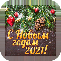 С новым годом 2021