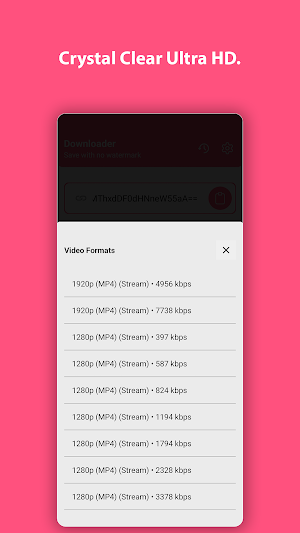 Reels Downloader & Story Saver Screenshot 2