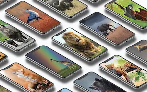 Animal Wallpapers 🦁🦓🐘 Screenshot 0
