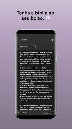 Pib em São Cristóvão screenshot 3