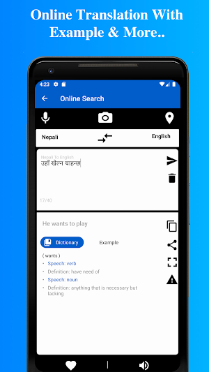 Nepali to English Dictionary (Offline & Online) Screenshot 3
