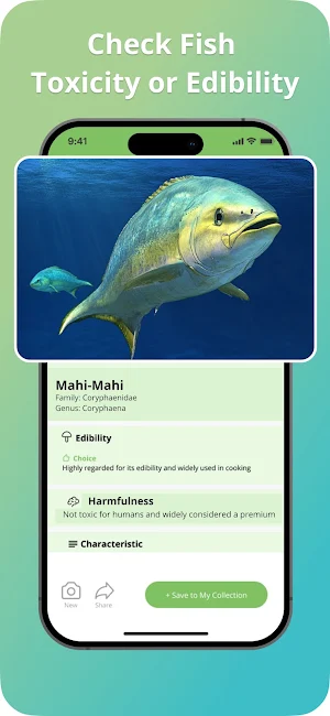 Identify Fish Screenshot 3