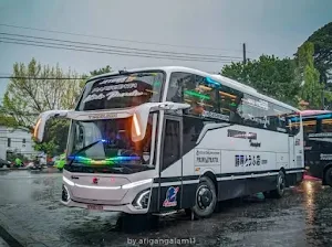Bus Kids Panda Corong Atas Screenshot 0