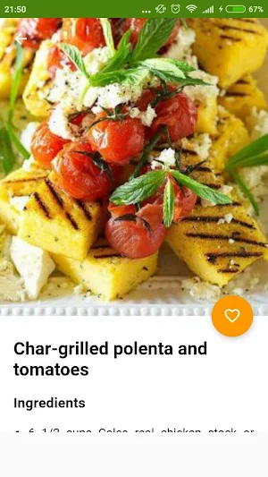Vegetarian Recipes Offline Screenshot 1