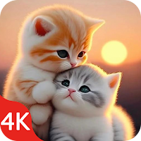 Cute Cat Wallpaper Live HD 4K