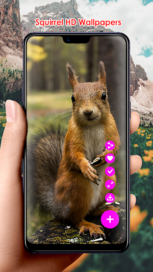 Squirrel HD Wallpapers Screenshot 1