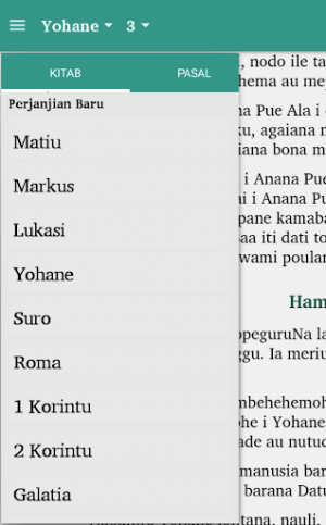 Alkitab Napu Screenshot 2
