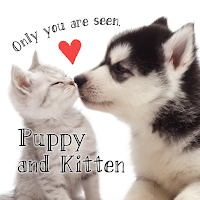 Puppy and Kitten +HOME