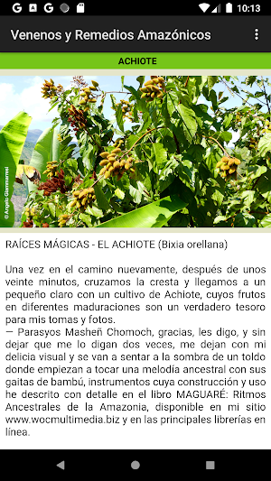 Venenos y Remedios Amazónicos Screenshot 3