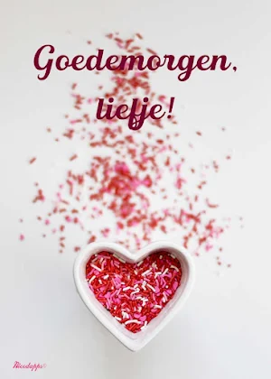 Goedemorgen Goedenacht Schat Screenshot 3
