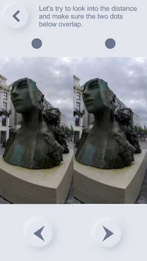 Stereogram Vision Training Screenshot 3
