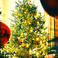 christmas lights