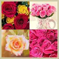 Flowers Wallpaper