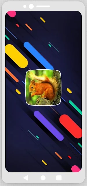 Squirrel Sounds Screenshot 0