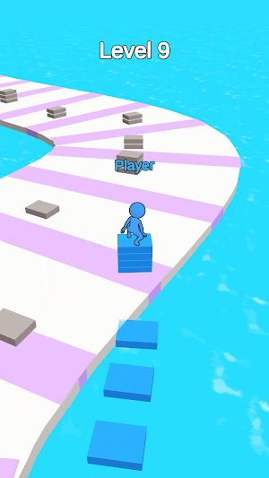 Dodge Race Screenshot 3