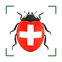 Insektenführer Pro Natura