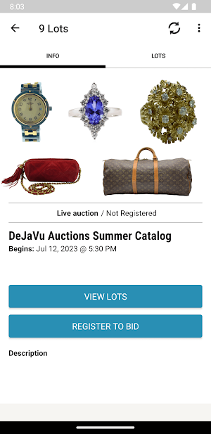 DeJaVu Auctions Screenshot 1