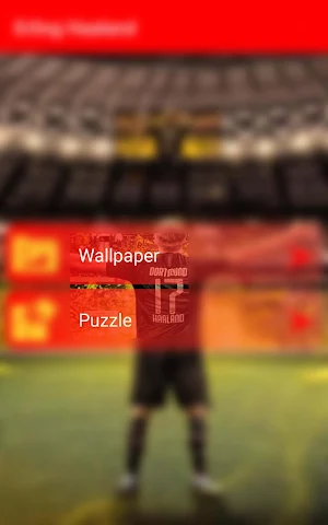 Erling Haaland -Wallpapers Screenshot 0