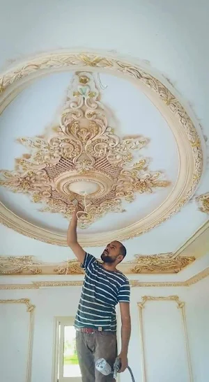 Modern Gypsum Ceiling Ideas Screenshot 0