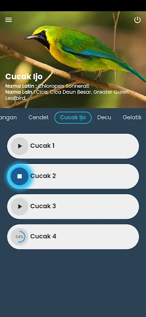 Kicau Burung Masteran Lengkap Screenshot 2