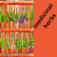 medicinal herbs