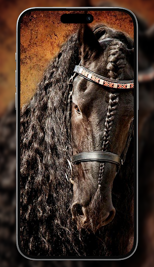 Horse wallpaper HD Screenshot 3