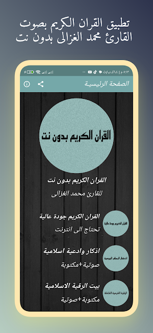 القران محمد الغزالى بدون نت Screenshot 0