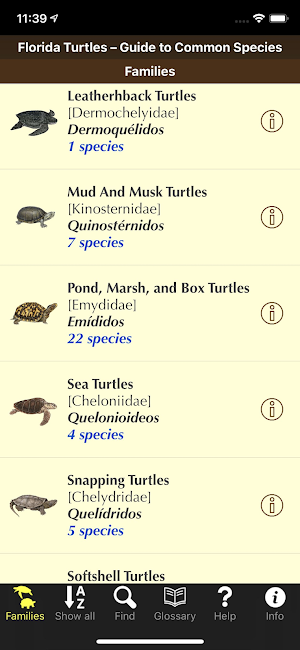 Florida Turtles Screenshot 0