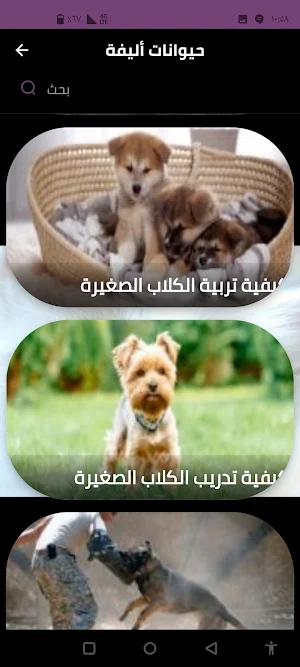 حيوانات أليفة Screenshot 2