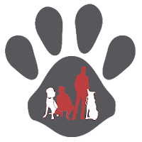 L'Académie Des Chiens